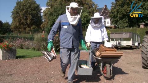 Les abeilles s'invitent à l'hôpital Juin 2015
