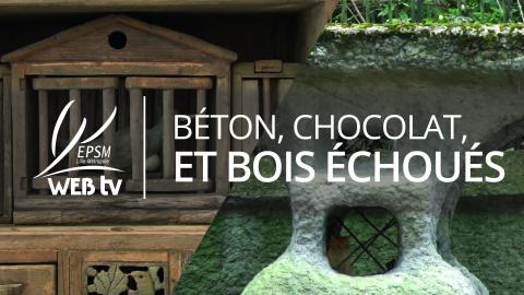 Vignette_béton-chocolat-bois-échoués_1920_1080_OK