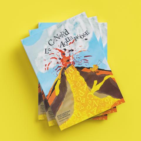  Canard-Aquaphobe_Declinaison-Visuels_Reseaux-sociaux2.jpg 