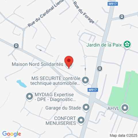 Carte Google Maps affichant la position de la structure