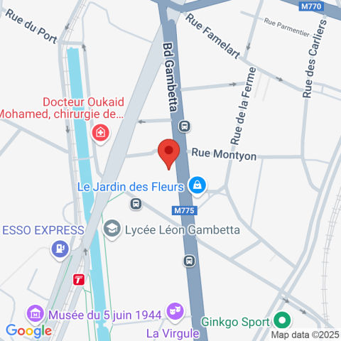 Carte Google Maps affichant la position de la structure