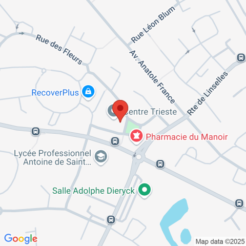 Carte Google Maps affichant la position de la structure