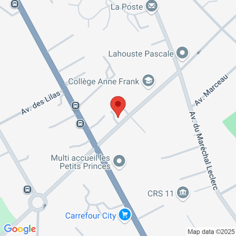 Carte Google Maps affichant la position de la structure