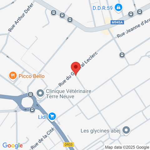 Carte Google Maps affichant la position de la structure