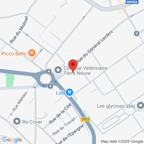 Carte Google Maps affichant la position de la structure