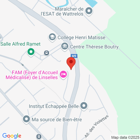 Carte Google Maps affichant la position de la structure