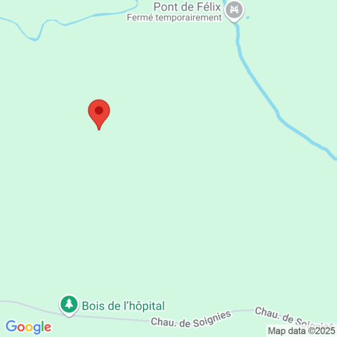 Carte Google Maps affichant la position de la structure