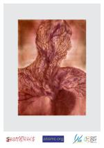 Exposition FORET à la Galerie Frontières