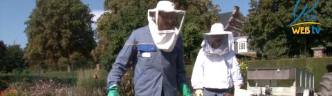 Les abeilles s'invitent à l'hôpital Juin 2015